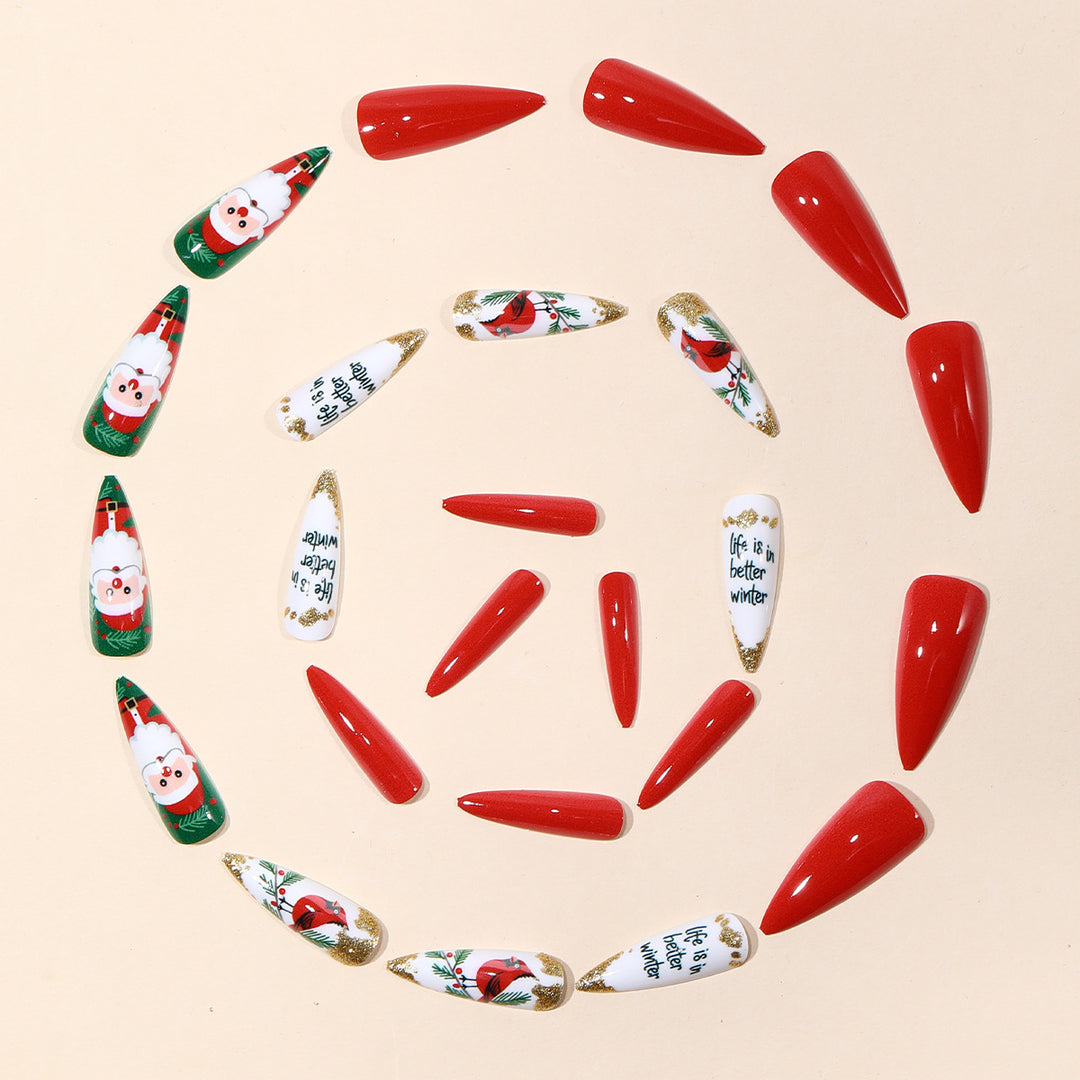 Festliches 3D Nagelkunst Set Karnz