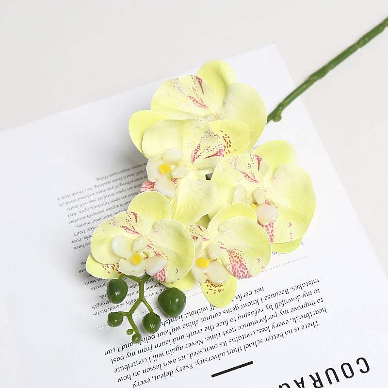 Realistische Orchideenblütenstängel