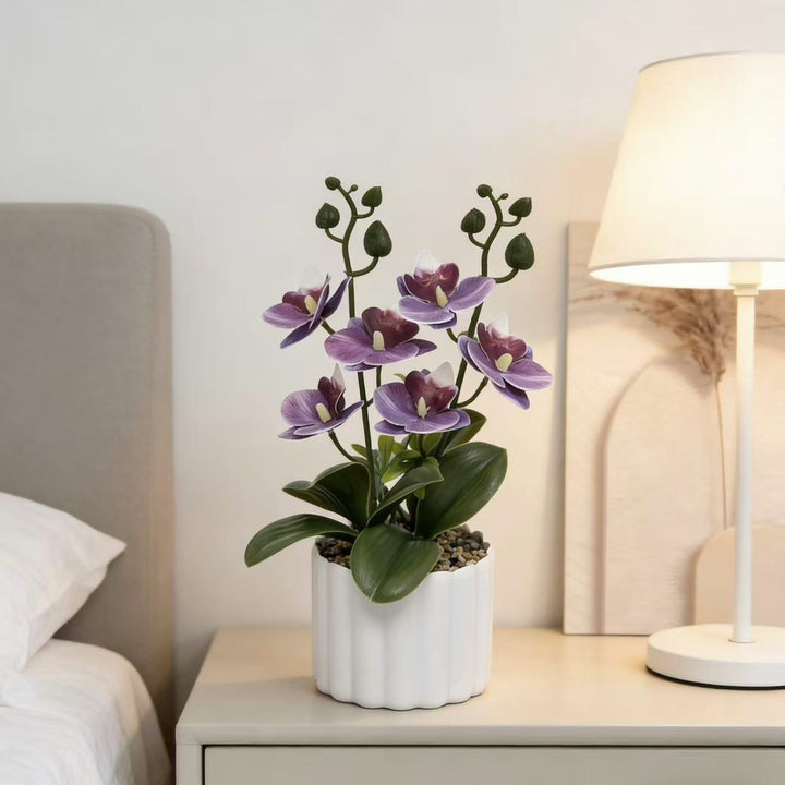 Lebensechte künstliche Orchideenpflanzenanordnung für die Wohnraumpräsentation