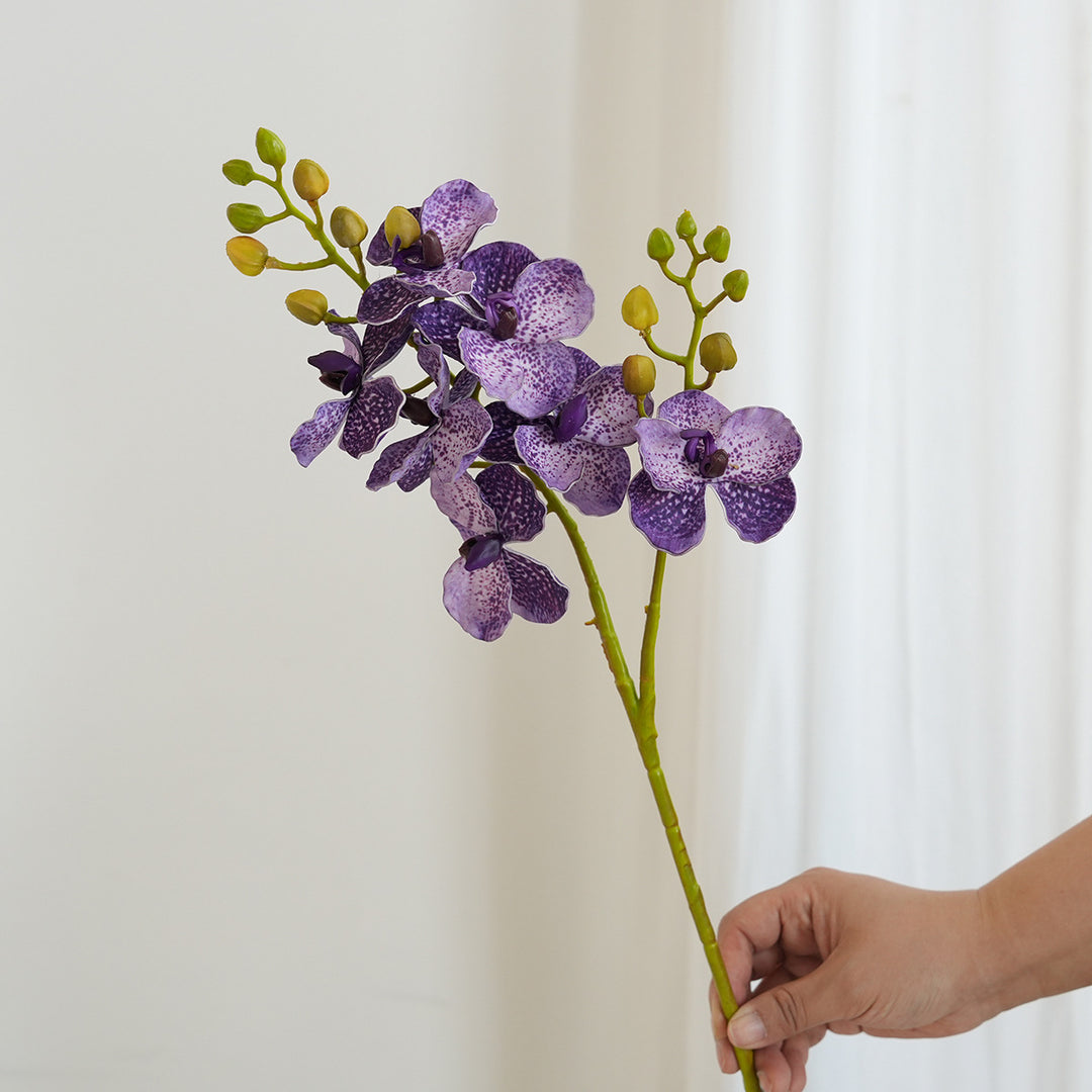 Elegante Orchideen-Stängel Karnz