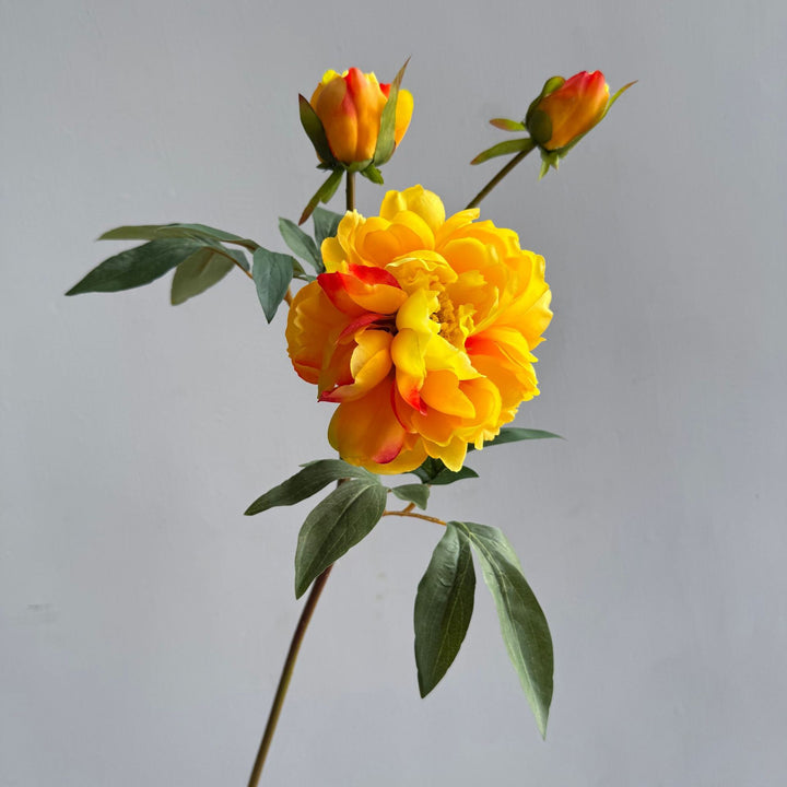 Dekorative Blumenarrangement