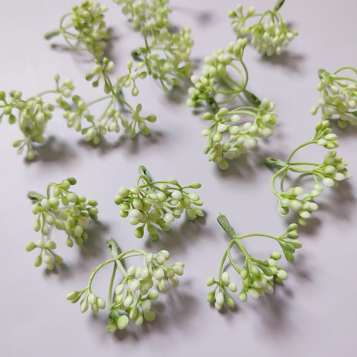 Dekorativer Beerencluster