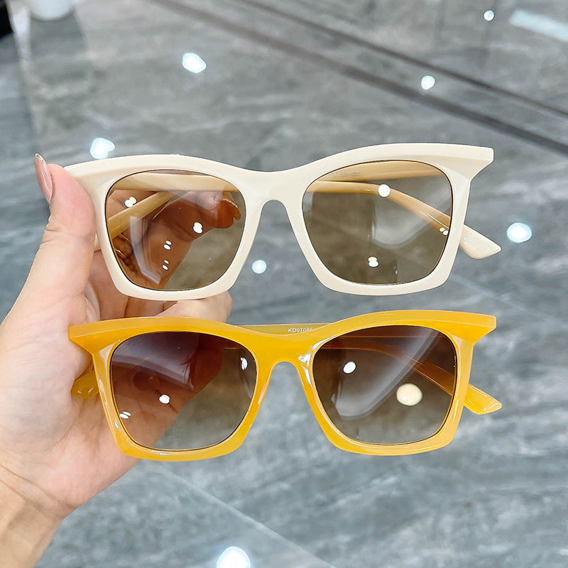 Damen Cat-Eye Sonnenbrille mit gradienten Gläsern und transparentem Rahmendesign Karnz