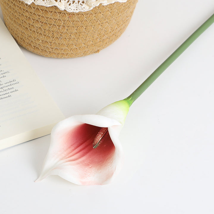 Kunstblume Karnz