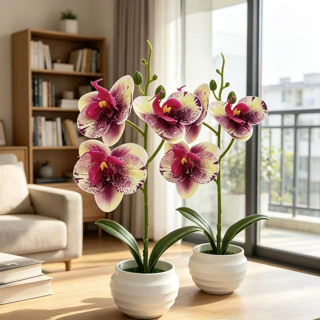 Elegante dekorative Orchideenpflanzenanordnung für die Wohnkultur