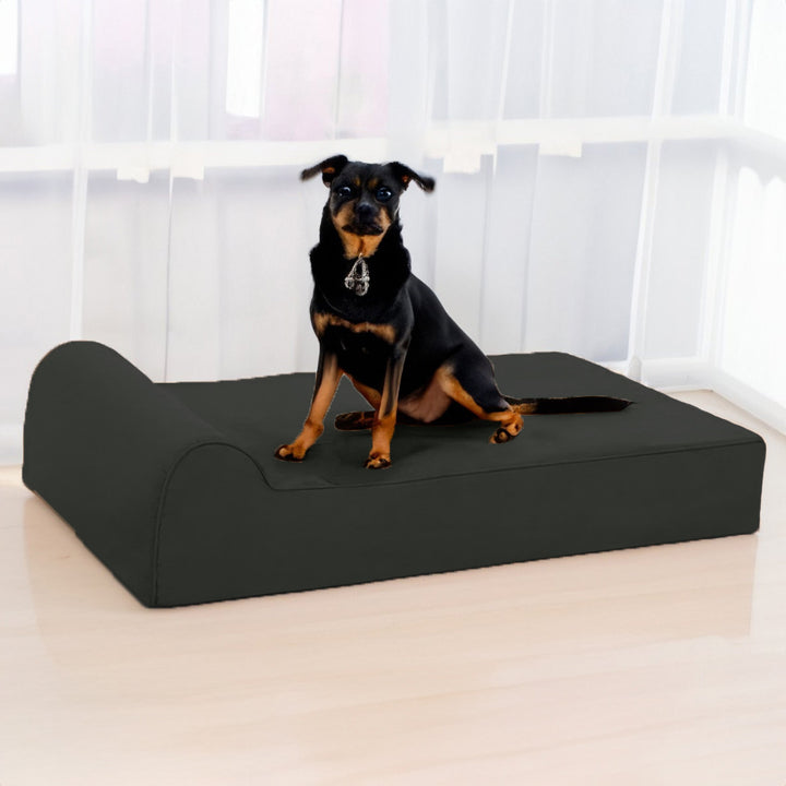 Orthopädisches Lounge-Sofa Hundebett