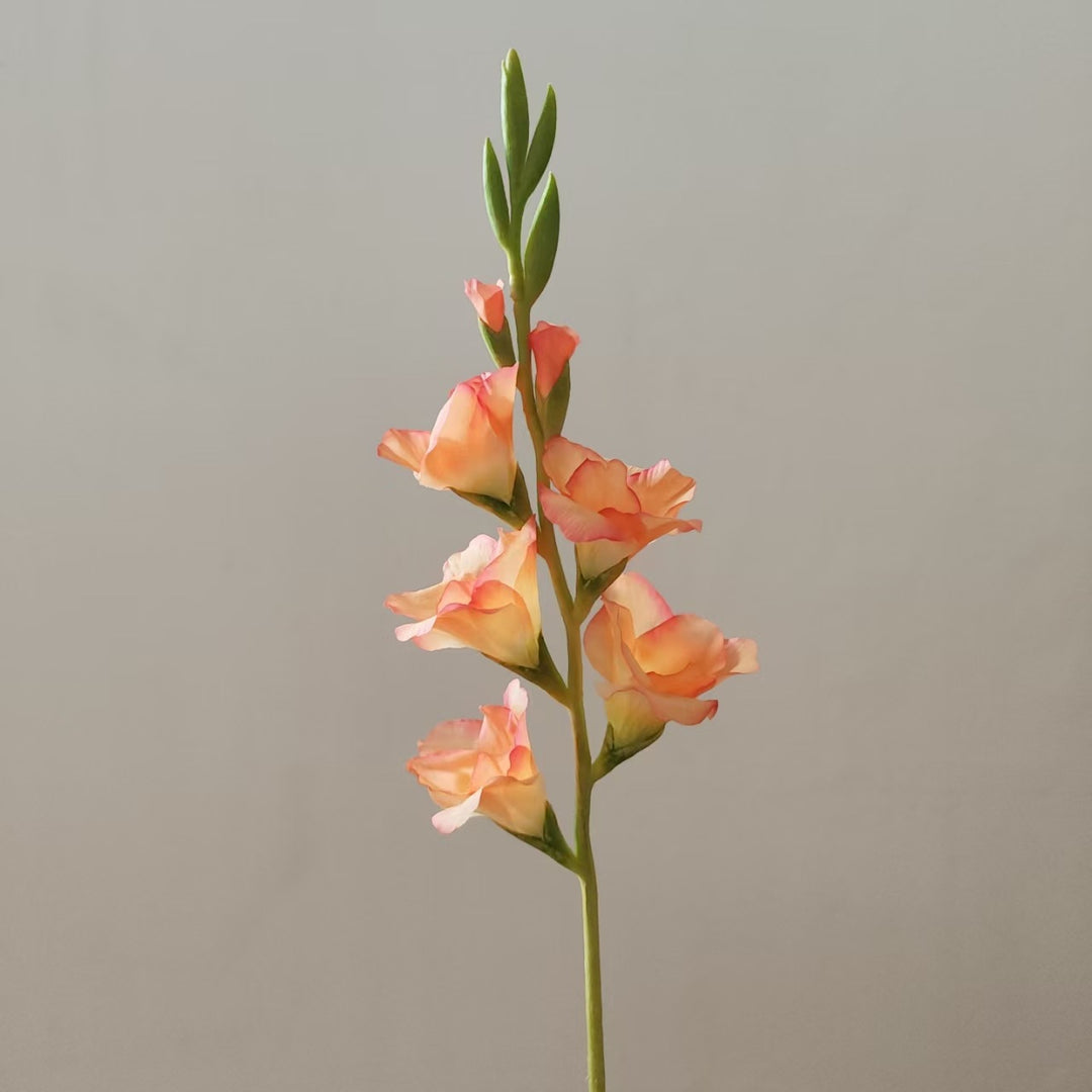 Orchideenblütenstiel
