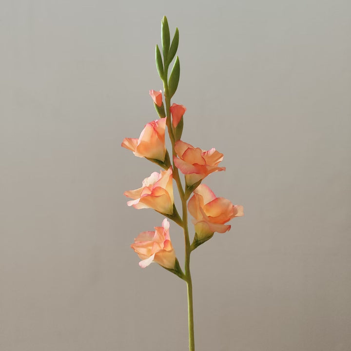 Orchideenblütenstiel