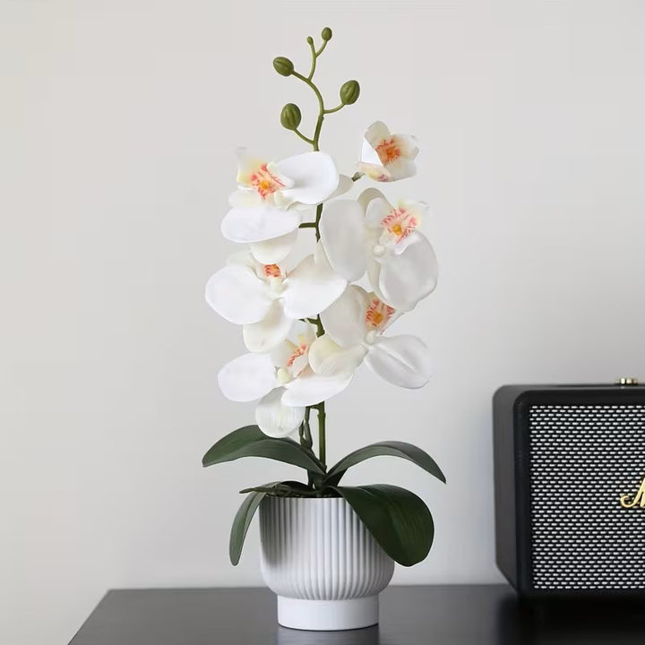 Elegante künstliche Orchideenpflanze zur Dekoration für zu Hause