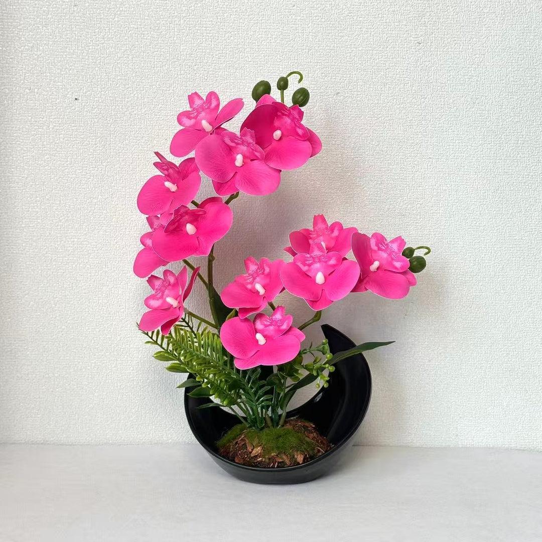 Lebensechte Orchideenblütenanzeige