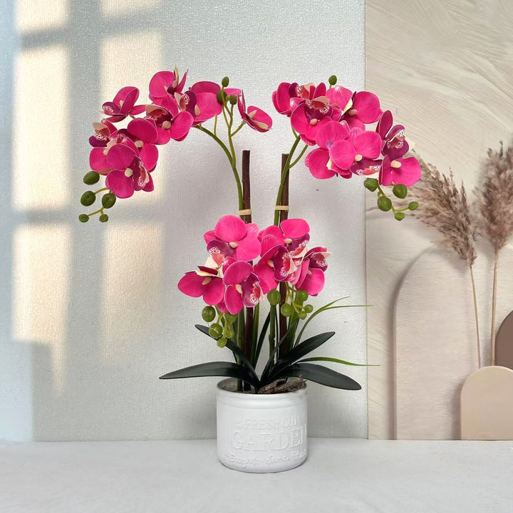 Dekorative Topfpflanzen-Orchideen-Anordnung für Tischdeko