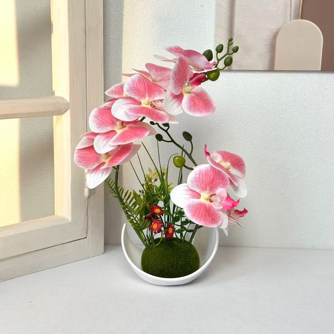 Dekorative Orchideenpflanzenanordnung für die Wohnkultur