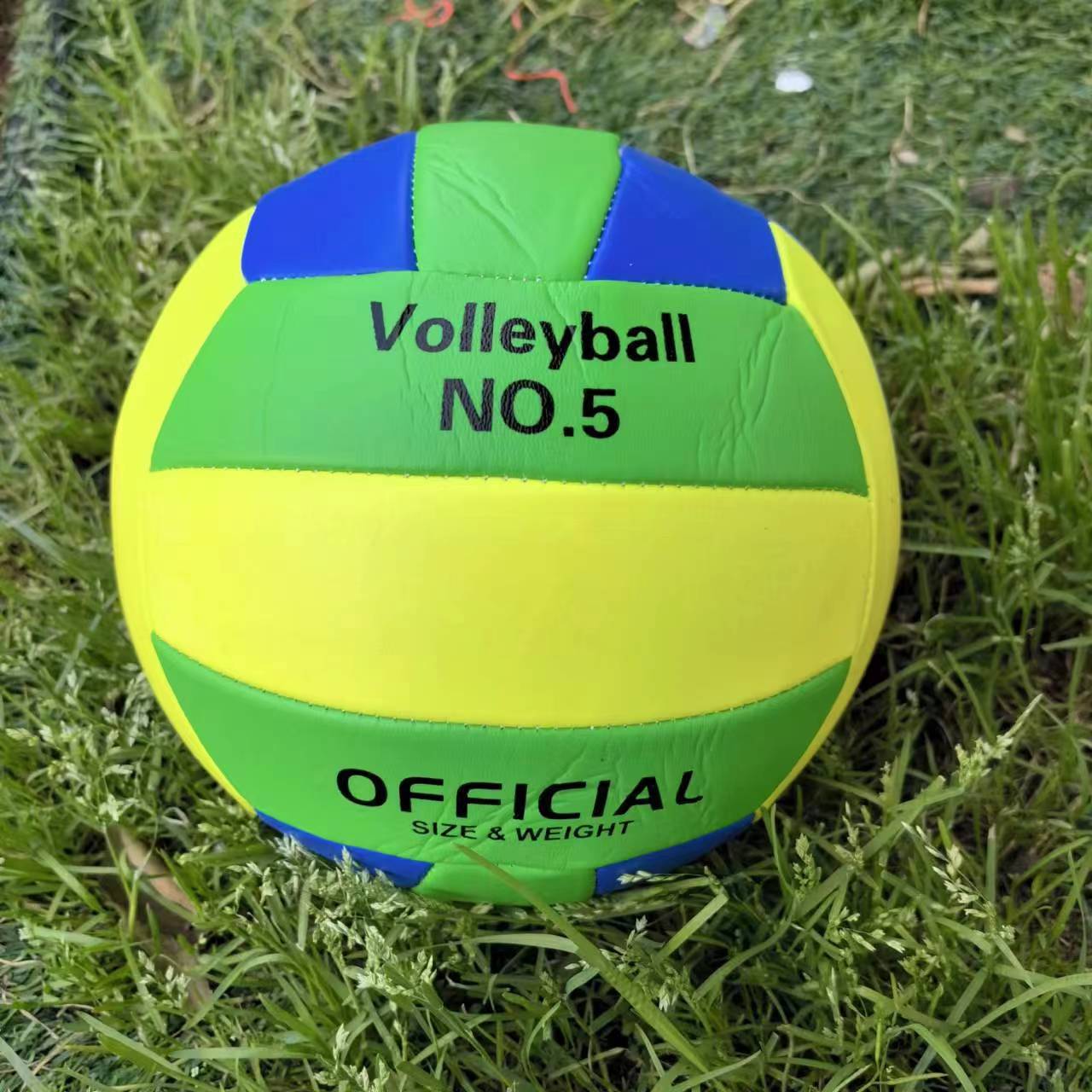 Damen Volleyball Karnz