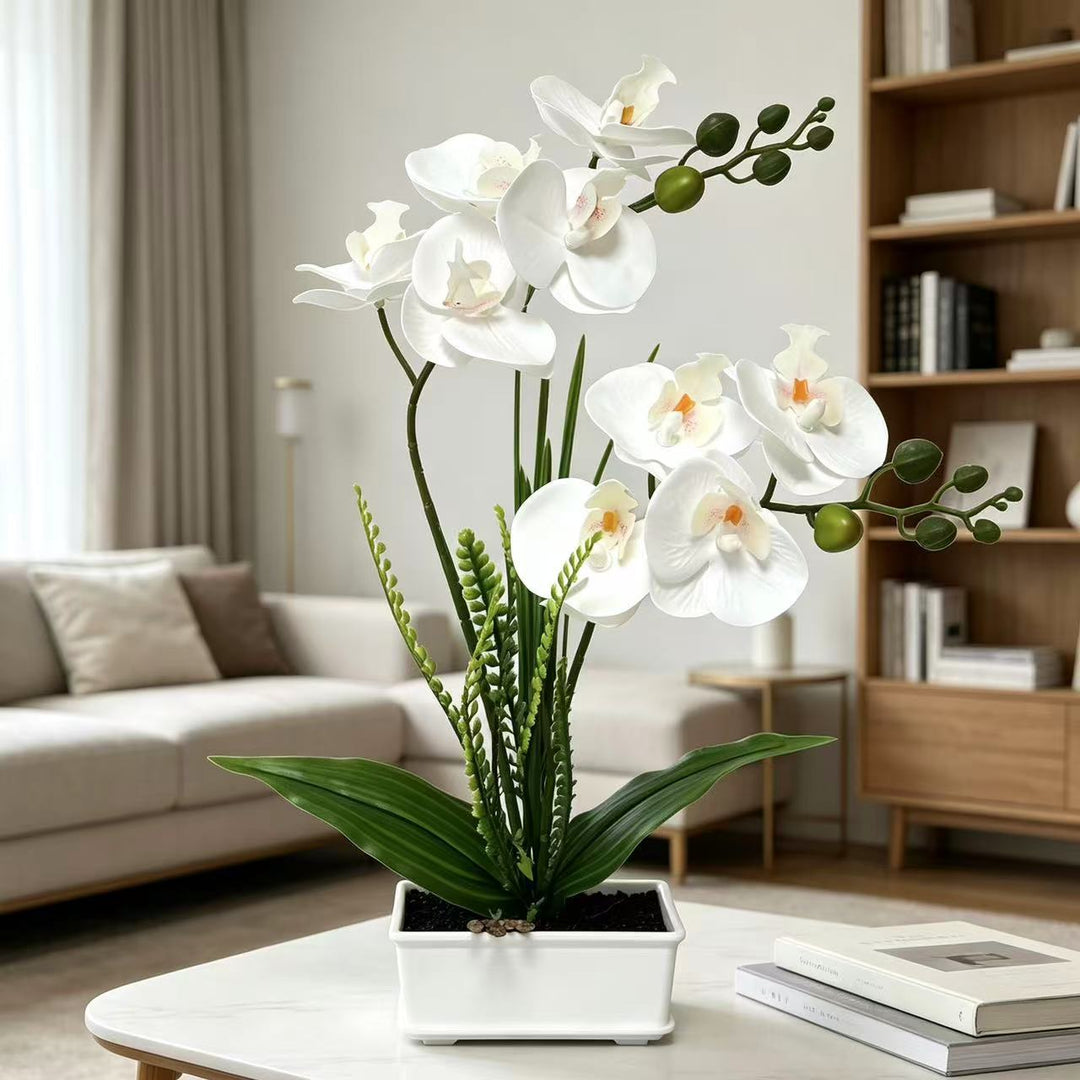 Künstliches Orchideenpflanzenarrangement 1790480743 für Dekoration und Präsentation