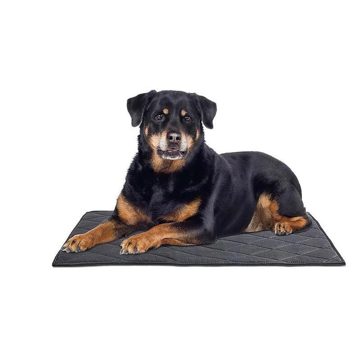 Haltbares Trainingsmatte Hundebett