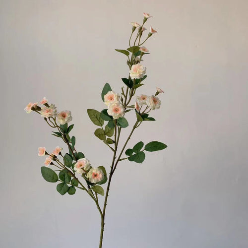 Elegante dekorative Blumenstängel
