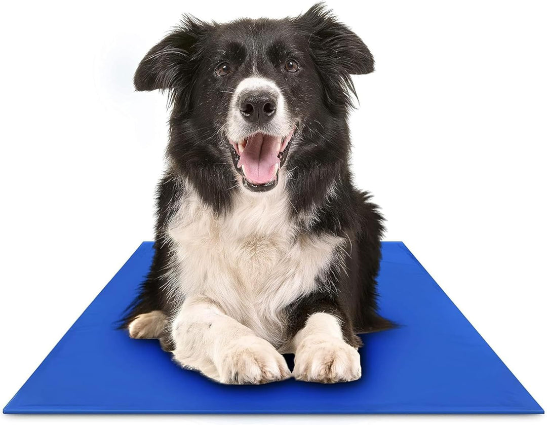 Kühlende Hundematte Karnz