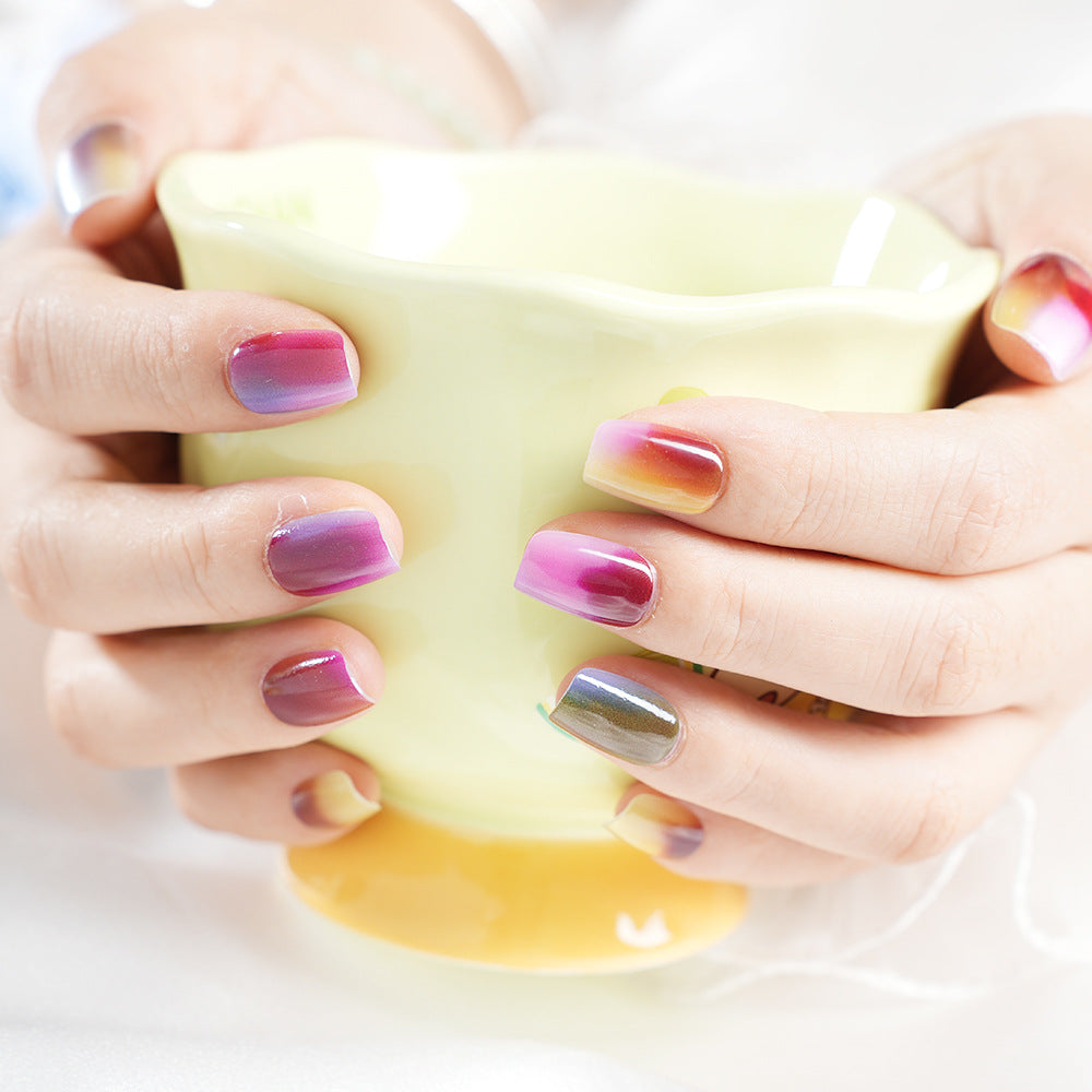 Ombre Gradient Press-On Nagelset Karnz