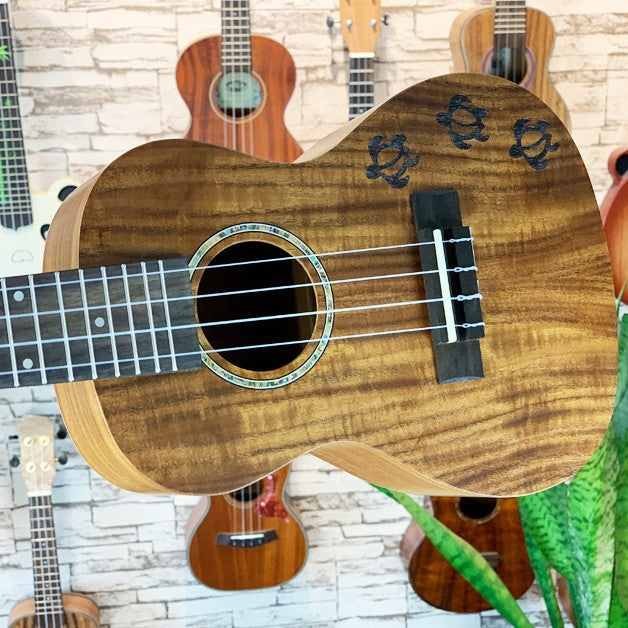 Premium 23-Zoll exotische Koa Ukulele Karnz