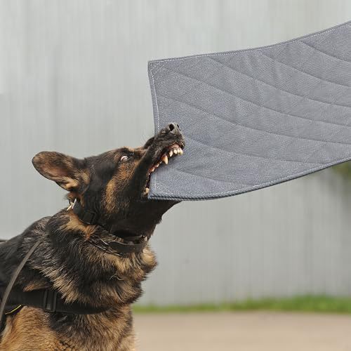 Haltbares Trainingsmatte Hundebett