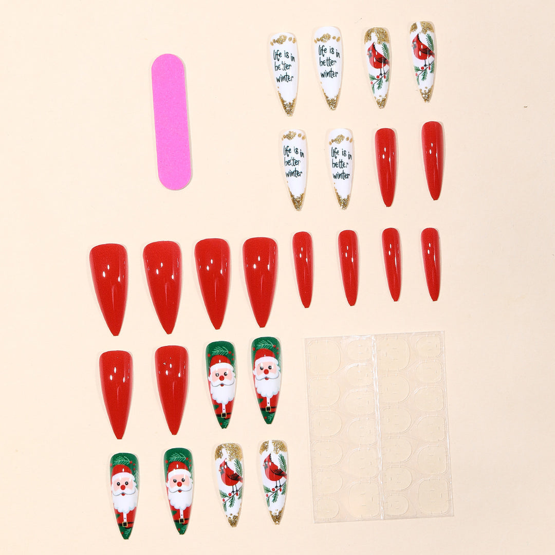 Festliches 3D Nagelkunst Set Karnz