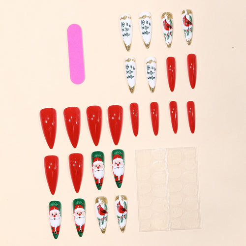 Festliches 3D Nagelkunst Set Karnz