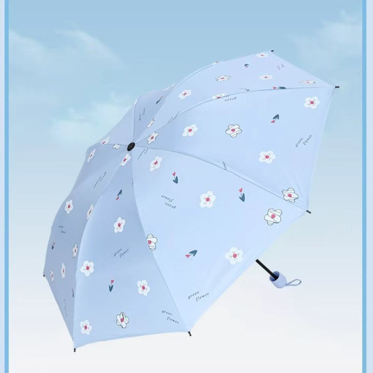 Damen Regenschirm Karnz