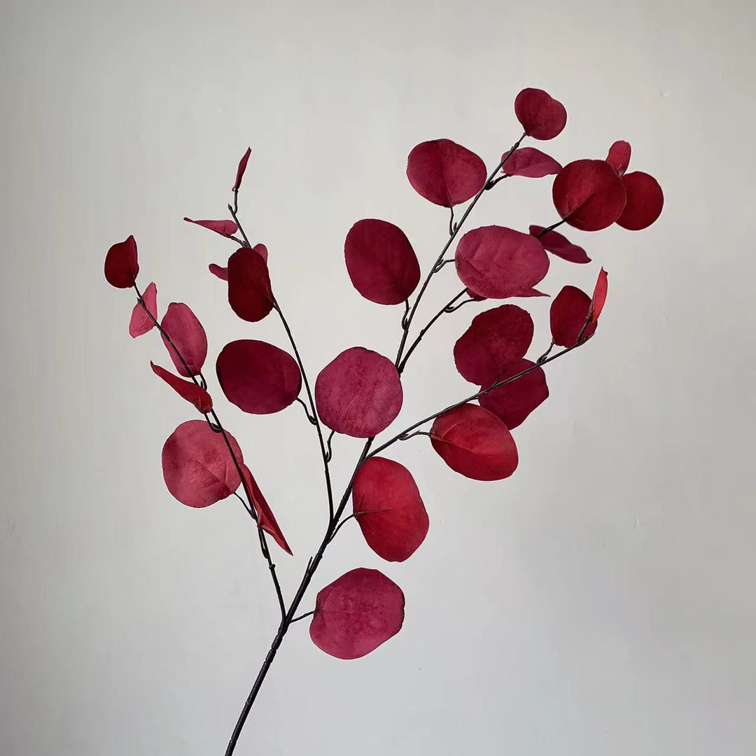 Dekorativer Eukalyptus-Stiel