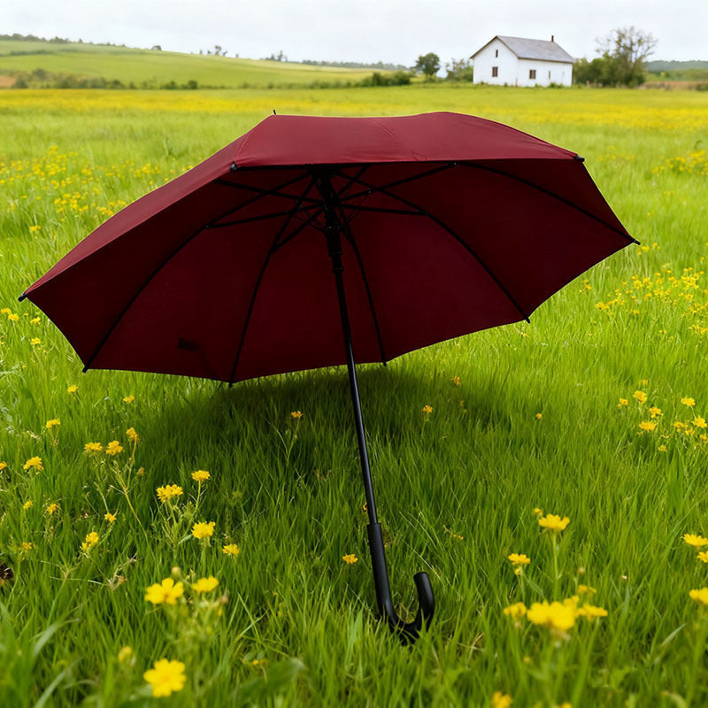 Damen Regenschirm Karnz