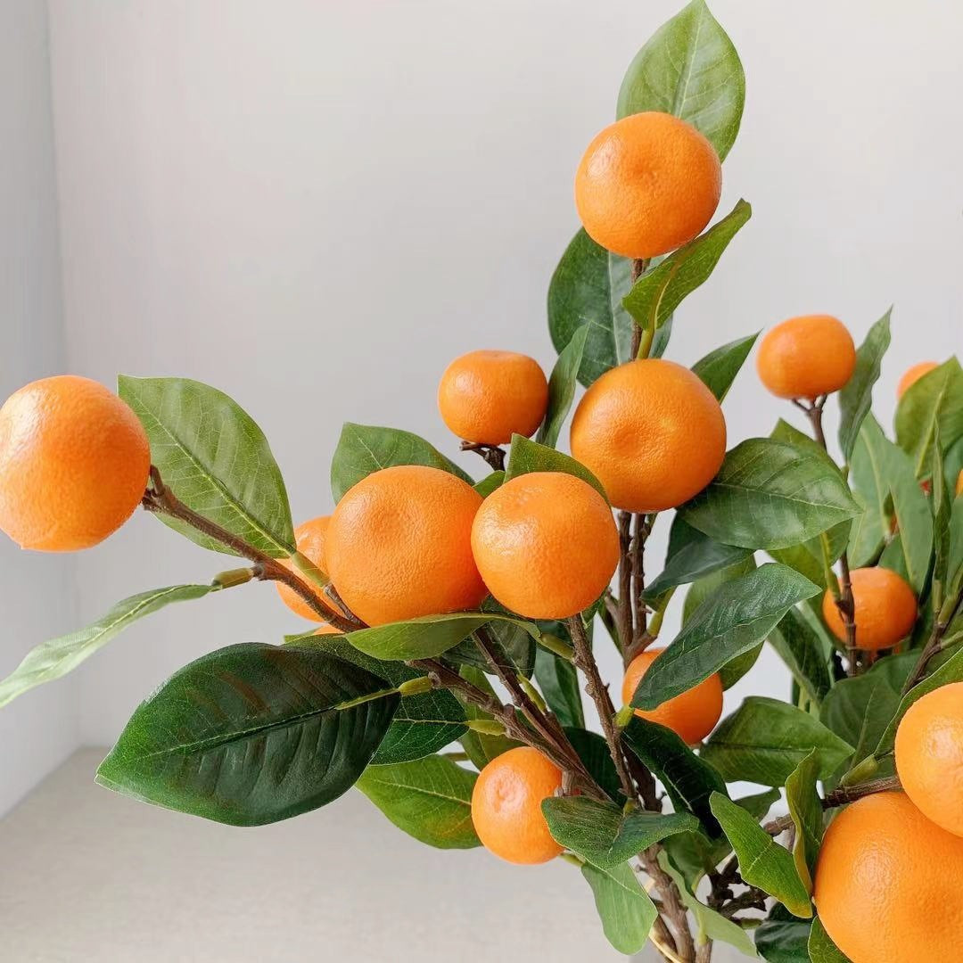 Dekorative Zitrusfruchtstiel