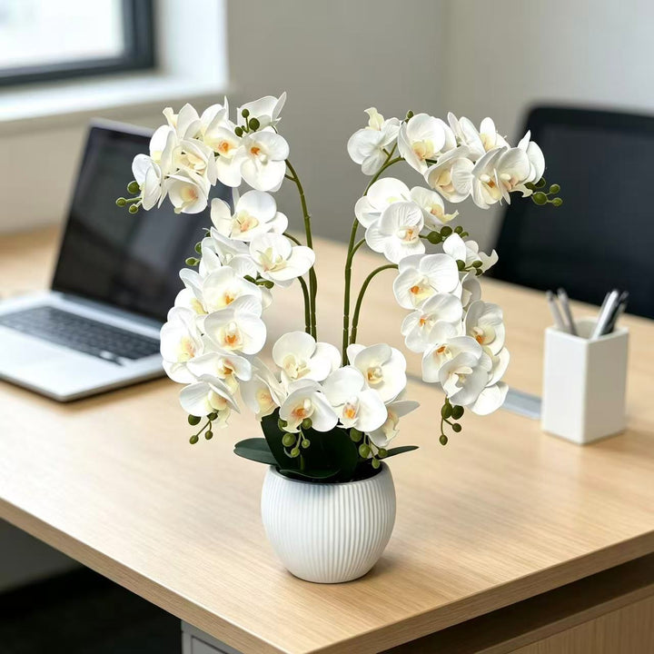 Lebensechte dekorative Orchideenarrangement für die Innenausstattung