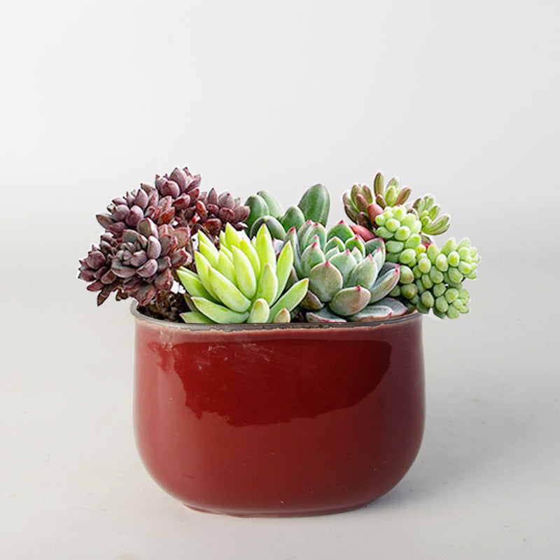 Blumentopf Karnz