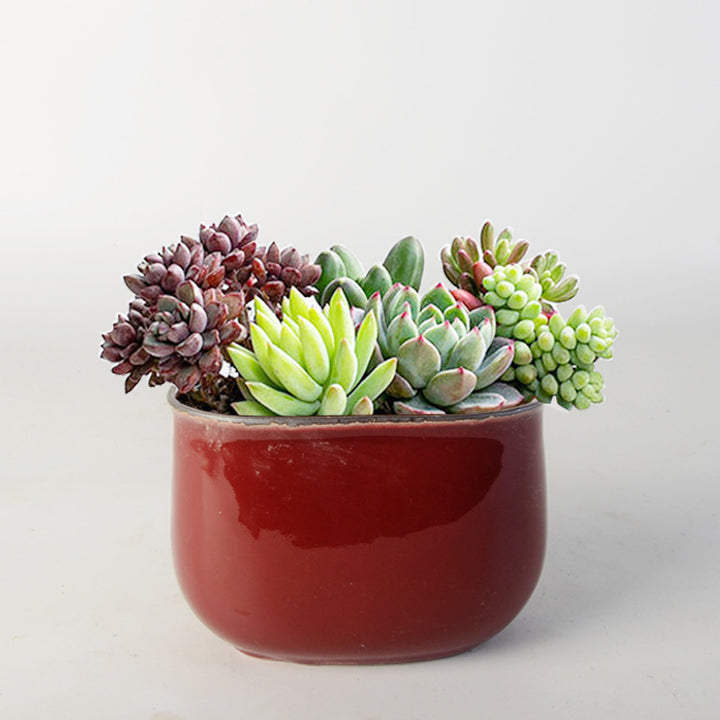 Blumentopf Karnz