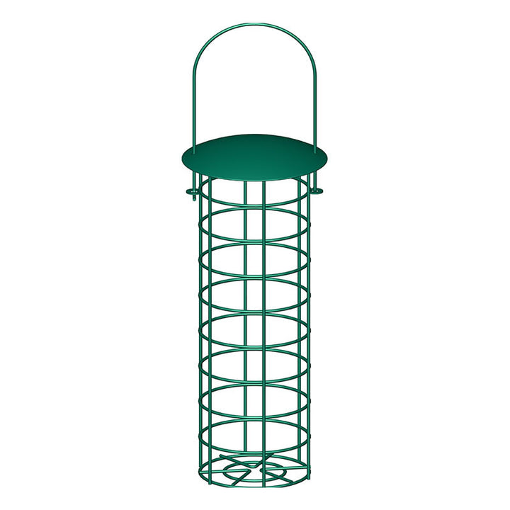 Transparenter Vogelhaus Karnz