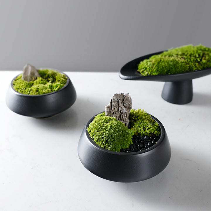 Dekorative Moos Schüssel mit Sockel Base