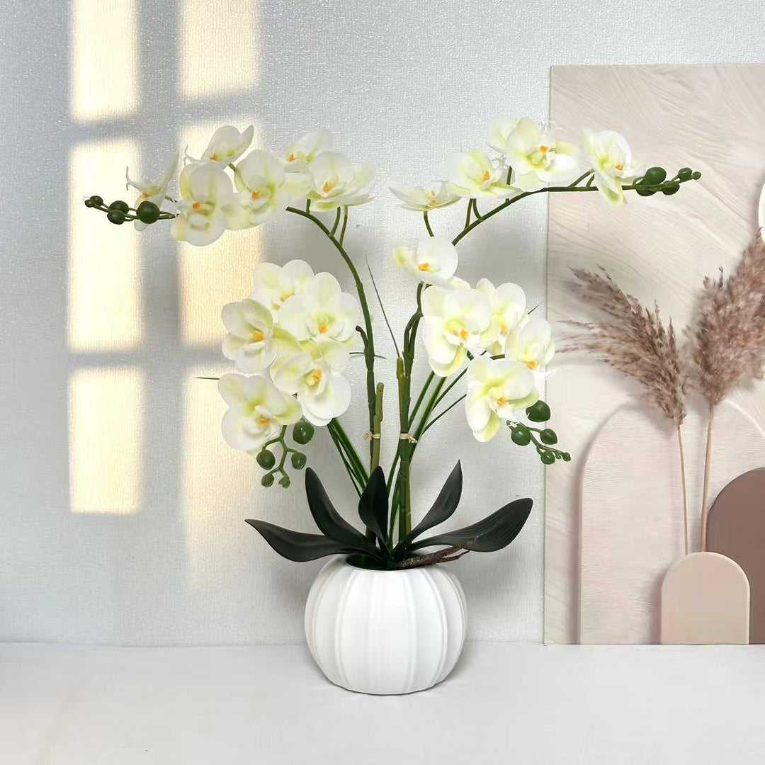 Elegante realistische Orchideenarrangement