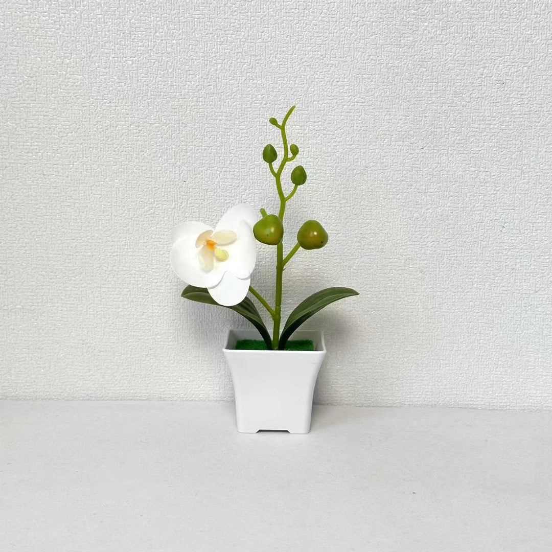 Lebensnahe Miniatur-Orchideenpflanze
