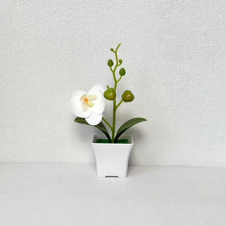 Lebensnahe Miniatur-Orchideenpflanze