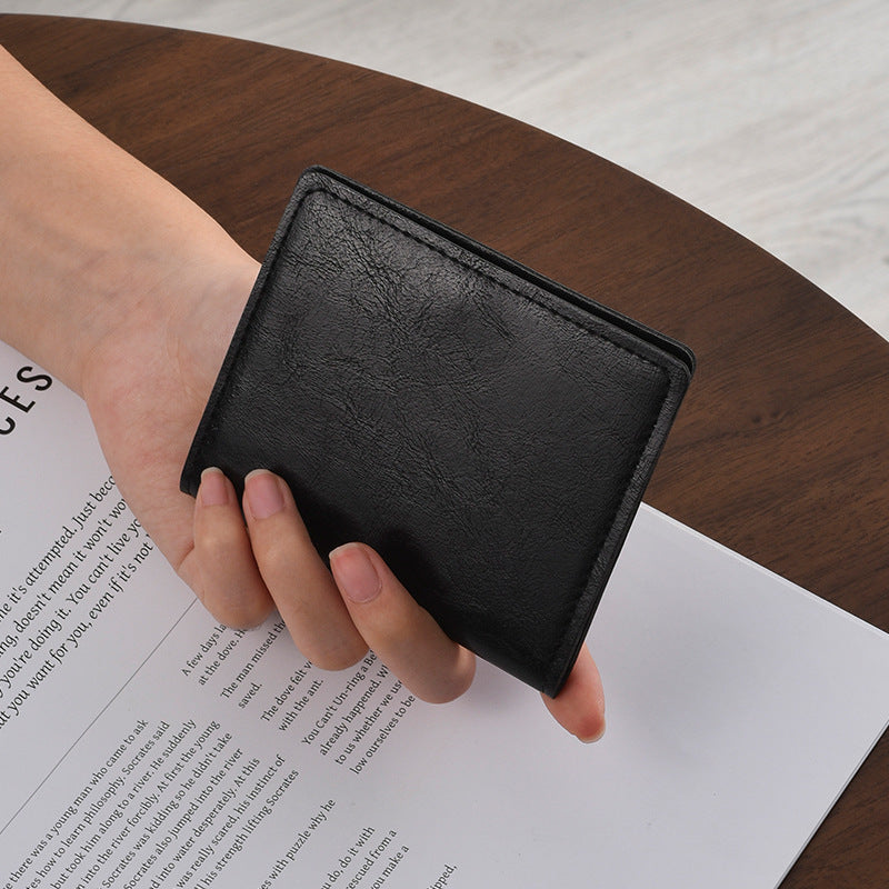 Kompakte Leder Reisebrieftasche Karnz