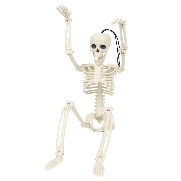 Realistische posierbare Halloween-Skelettfiguren Karnz