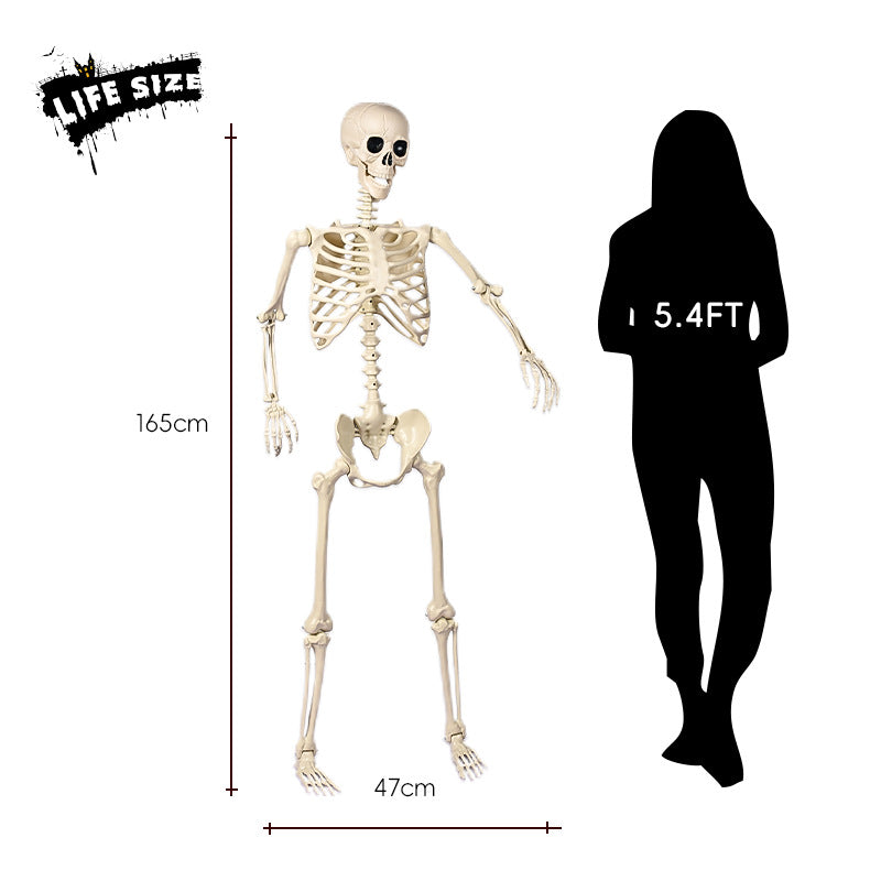 Realistisches sitzendes Skelett-Dekor Karnz