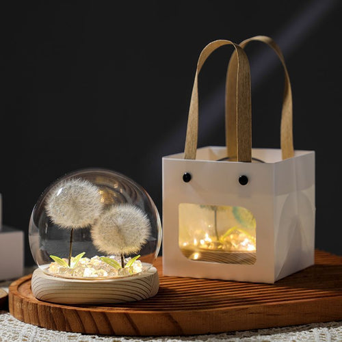 Dekoratives Glas-Terrarium