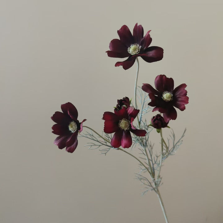Lebensechte Cosmos-Blume Stiel