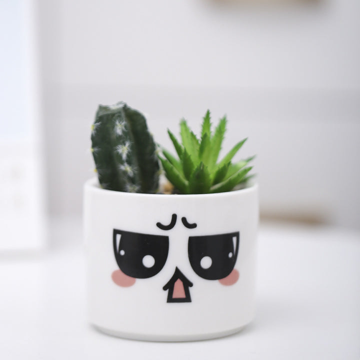 Niedlicher Tier-Themen-Sukkulenten-Planter Karnz