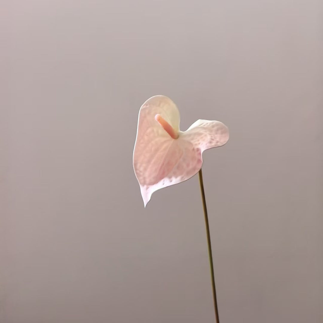 Herzförmiges Blatt Blumenständer