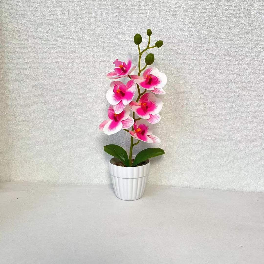 Lebensechte Künstliche Orchideenarrangement für die Wohnkultur