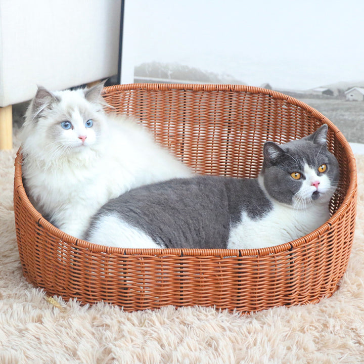Katzenbett Karnz