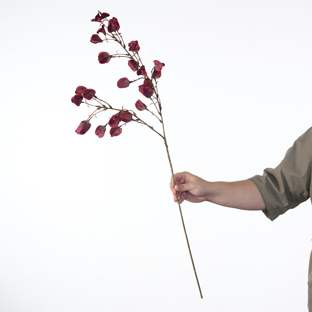 Dekorativer getrockneter Blumenstiel