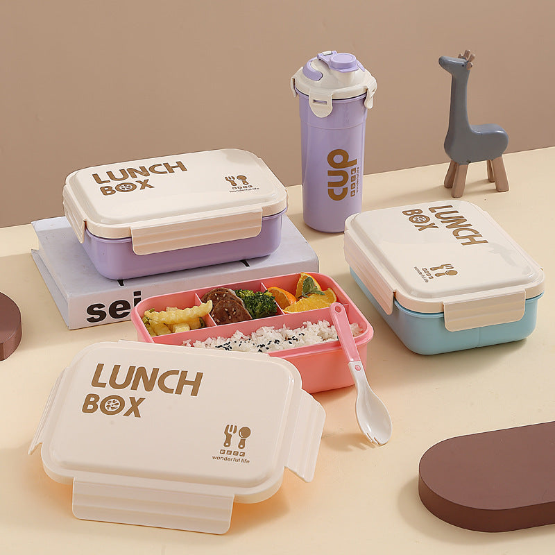 Stylische isolierte Lunchbox