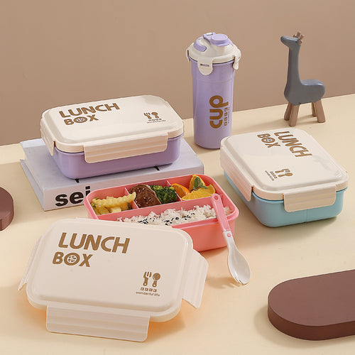 Stylische isolierte Lunchbox